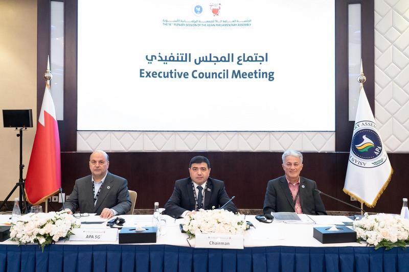 APA Executive Council Concludes Meeting in Manama